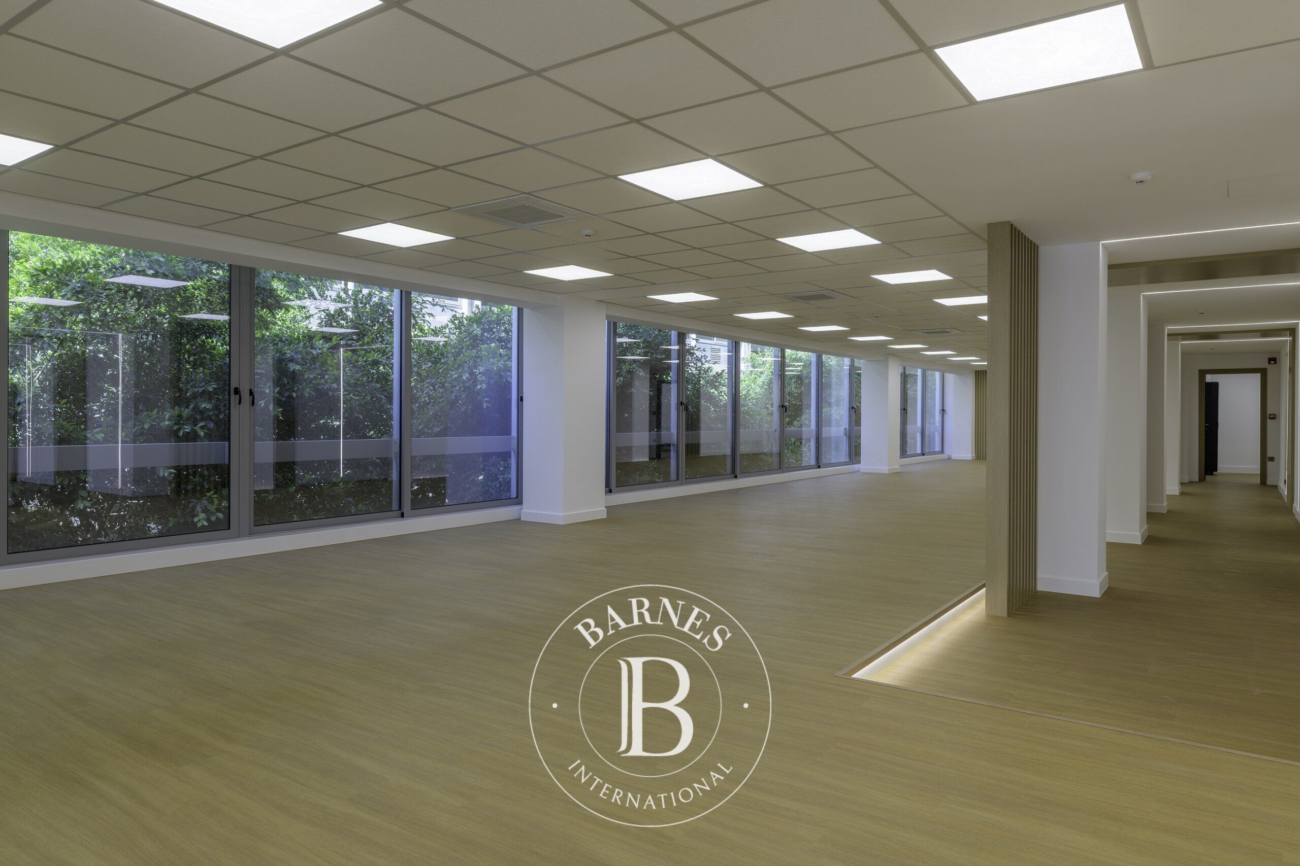 Luxury Renovated Office Spaces - Syntagma - picture 3