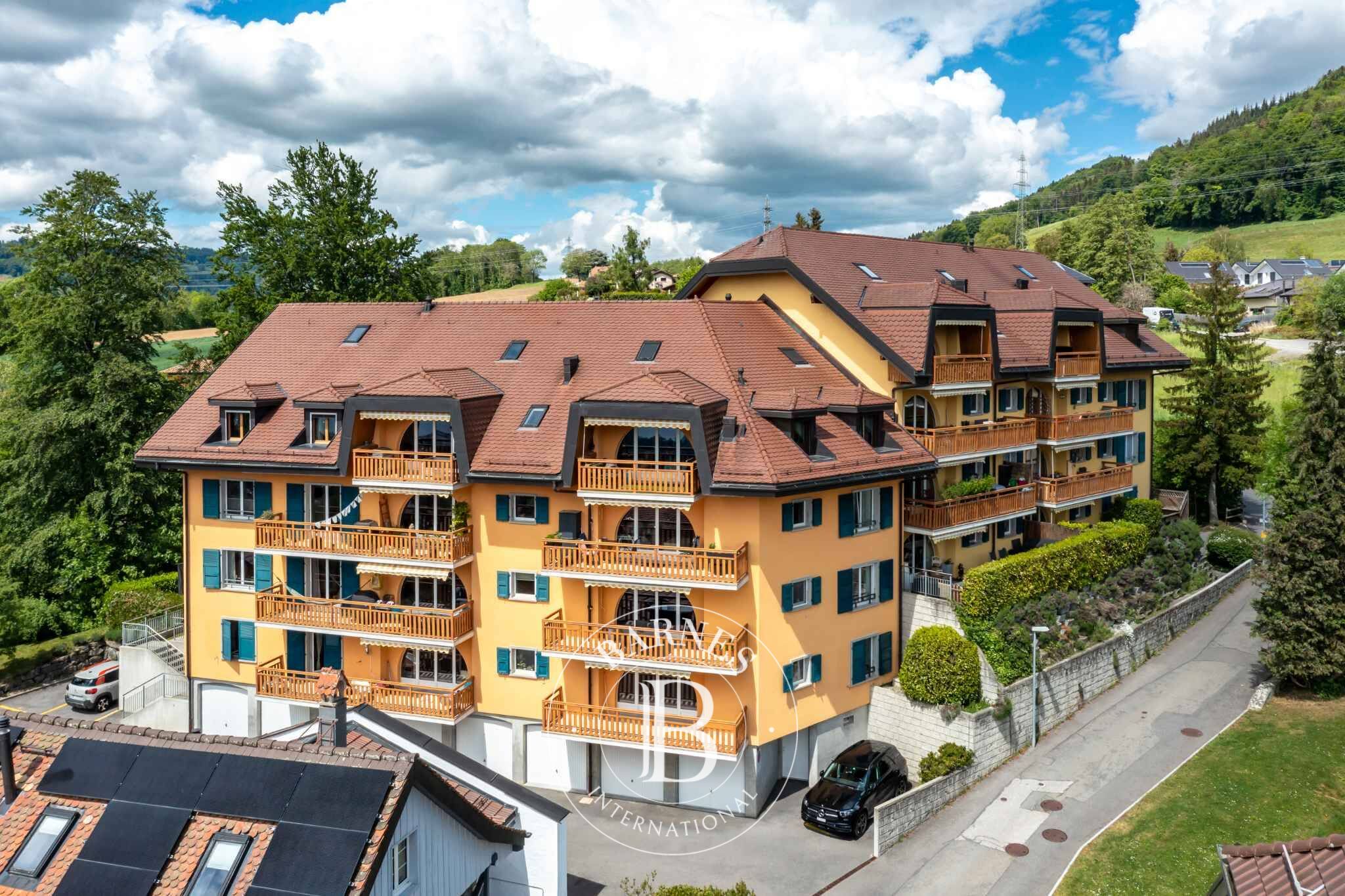 Apartment Blonay - picture 1