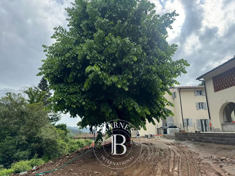 New development Camaiore - picture 3