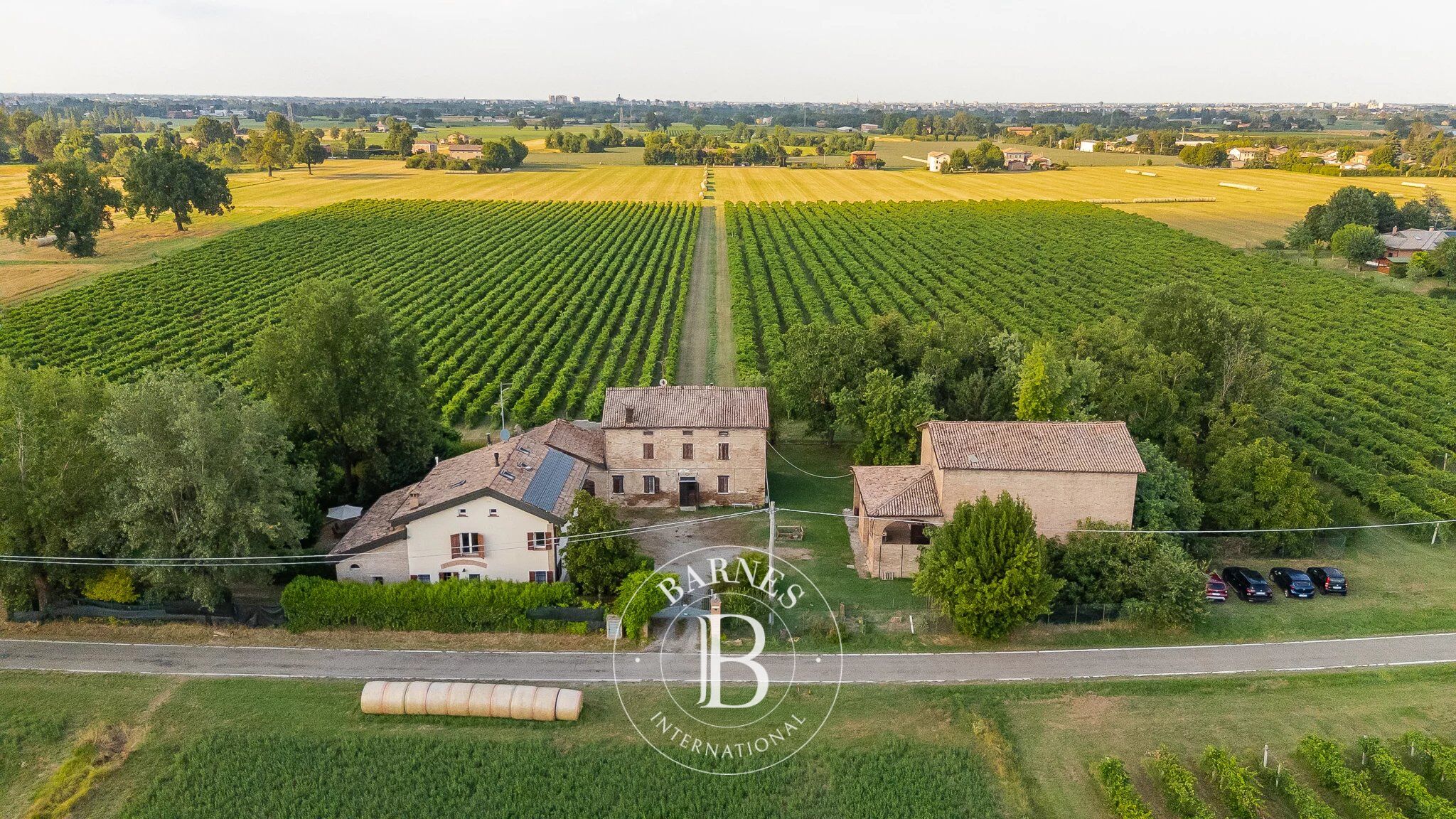 A historic estate with vineyards and a vinegar cellar in the heart of Emilia - picture 1