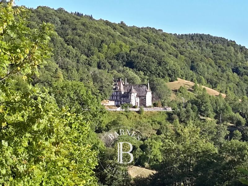 For Sale Manor house | Aurillac - picture 2