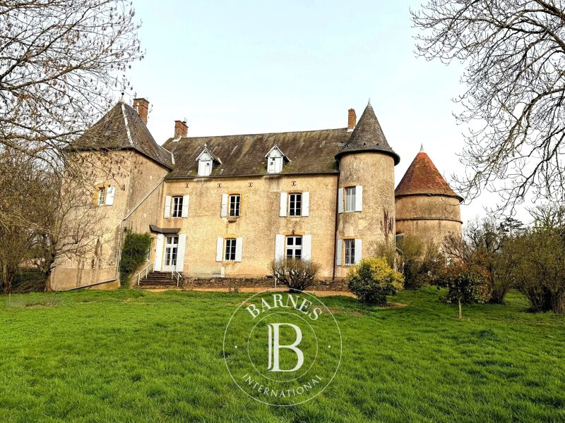 À vendre Château | Saxi-Bourdon - picture 1