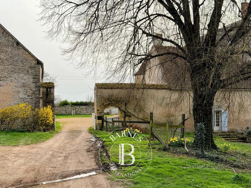 À vendre Château | Saxi-Bourdon - picture 2