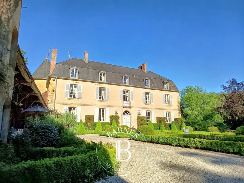 À vendre Château | Bona - picture 1