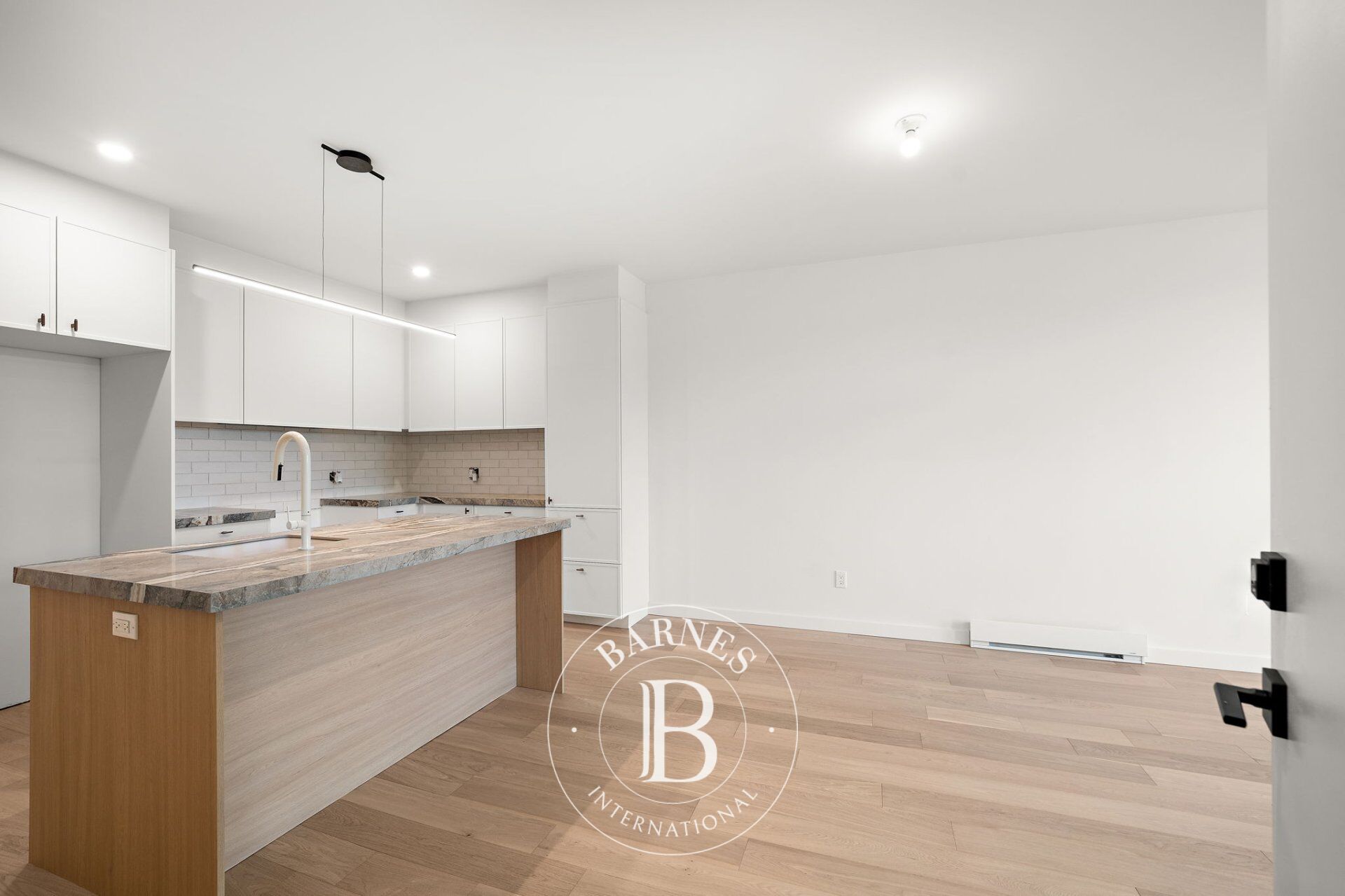 4719 Av. Papineau  Montréal (Le Plateau-Mont-Royal) (Montréal) - picture 2