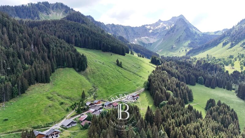 Zu verkaufen Chalet | Essert-Romand - picture 1
