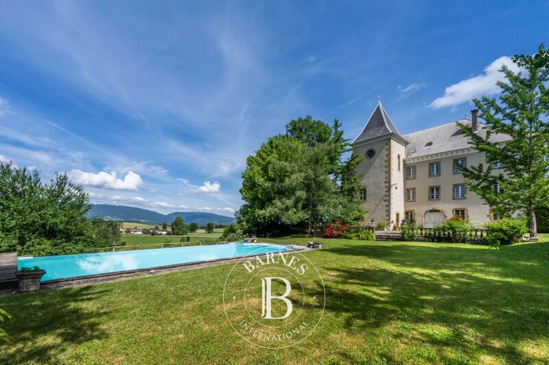 À vendre Château | Annecy - picture 1
