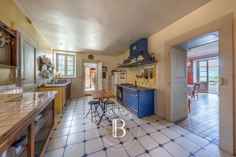 À vendre Château | Annecy - picture 3