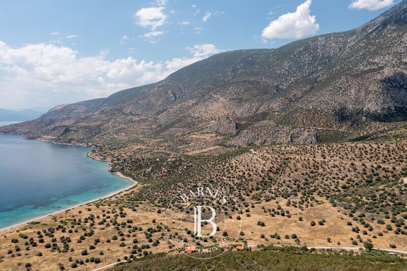 À vendre Terrain constructible | Agia Anna - picture 3