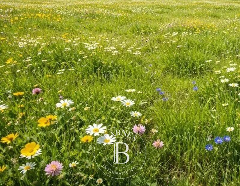À vendre Terrain constructible | Versonnex