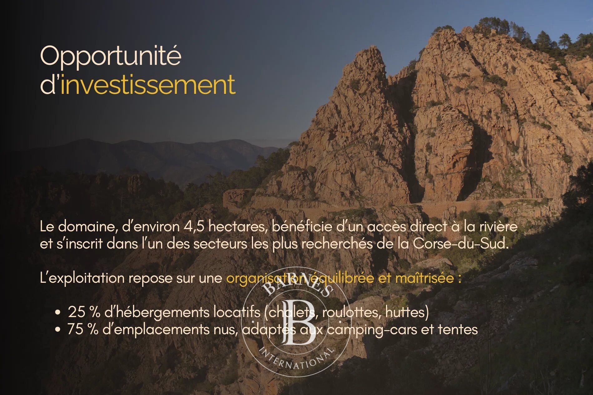 Company Ajaccio - picture 2