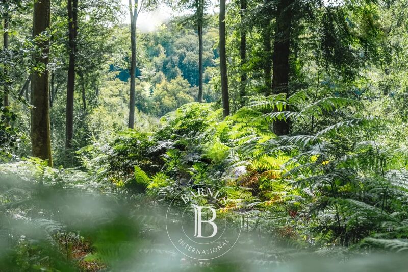 Zu verkaufen Bauland | Villons-les-Buissons