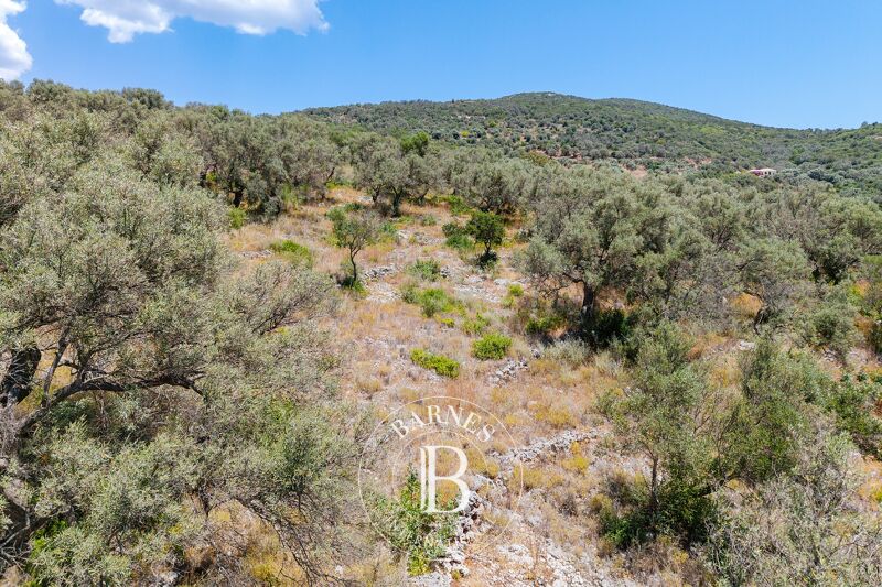 À vendre Terrain constructible | Lefkada - picture 3