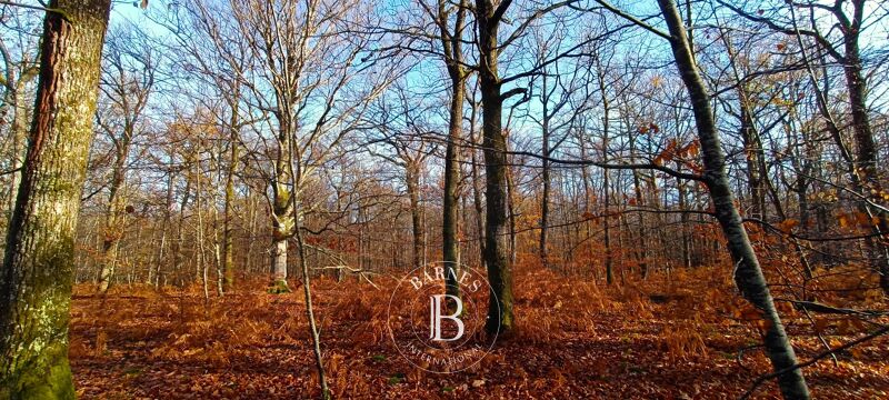 À vendre Propriété | Neuvy-sur-Barangeon - picture 2