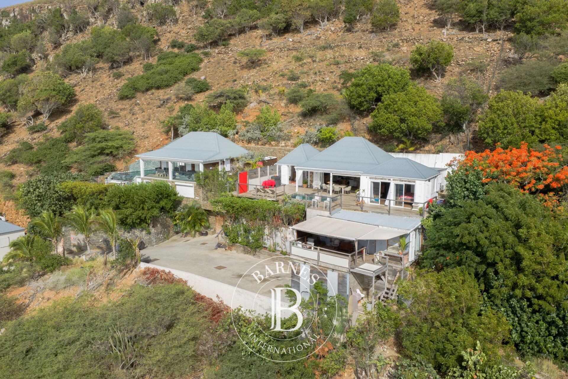 Villas in Toiny - picture 3