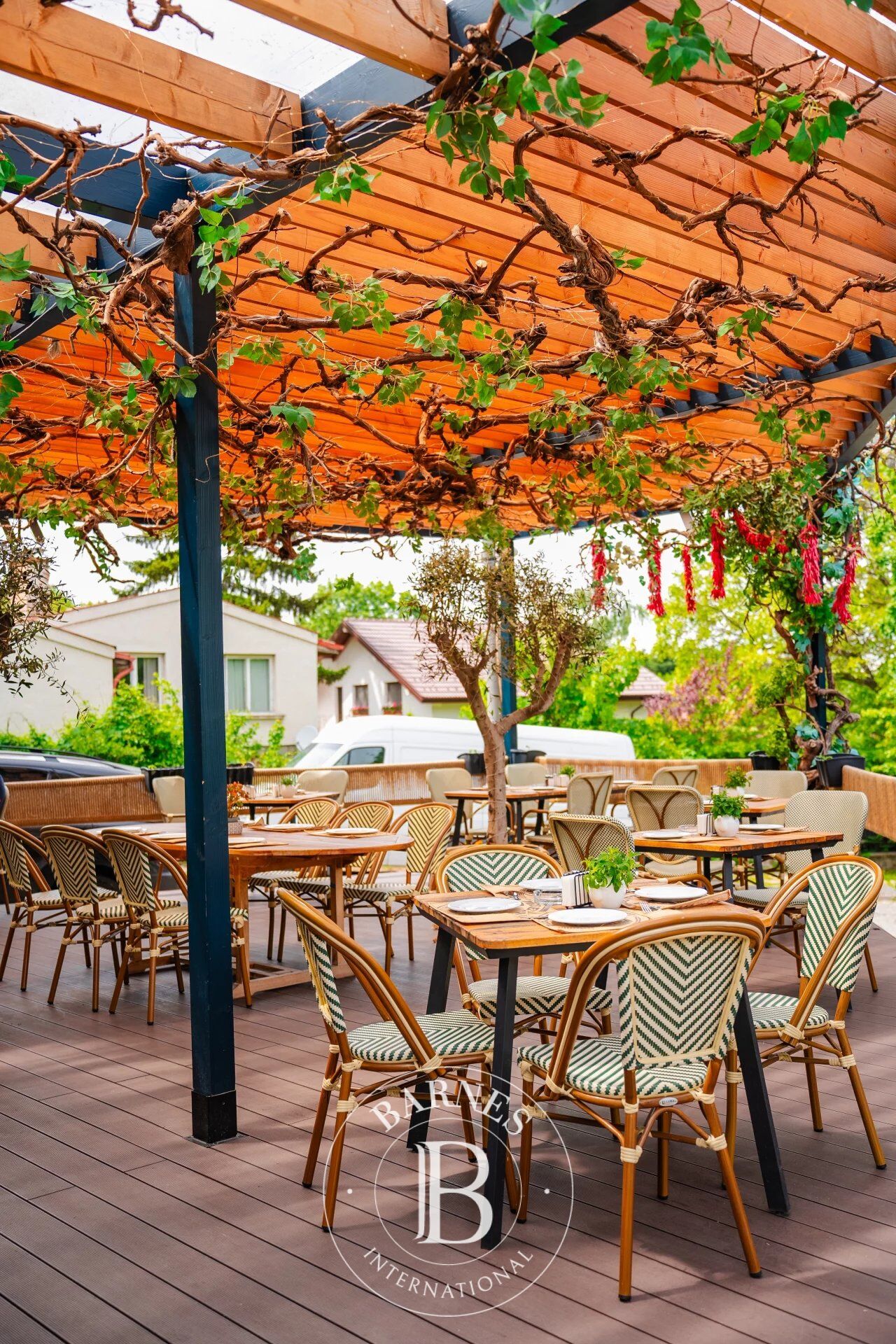 Authentic Italian restaurant in Boyana district - ready business - picture 3
