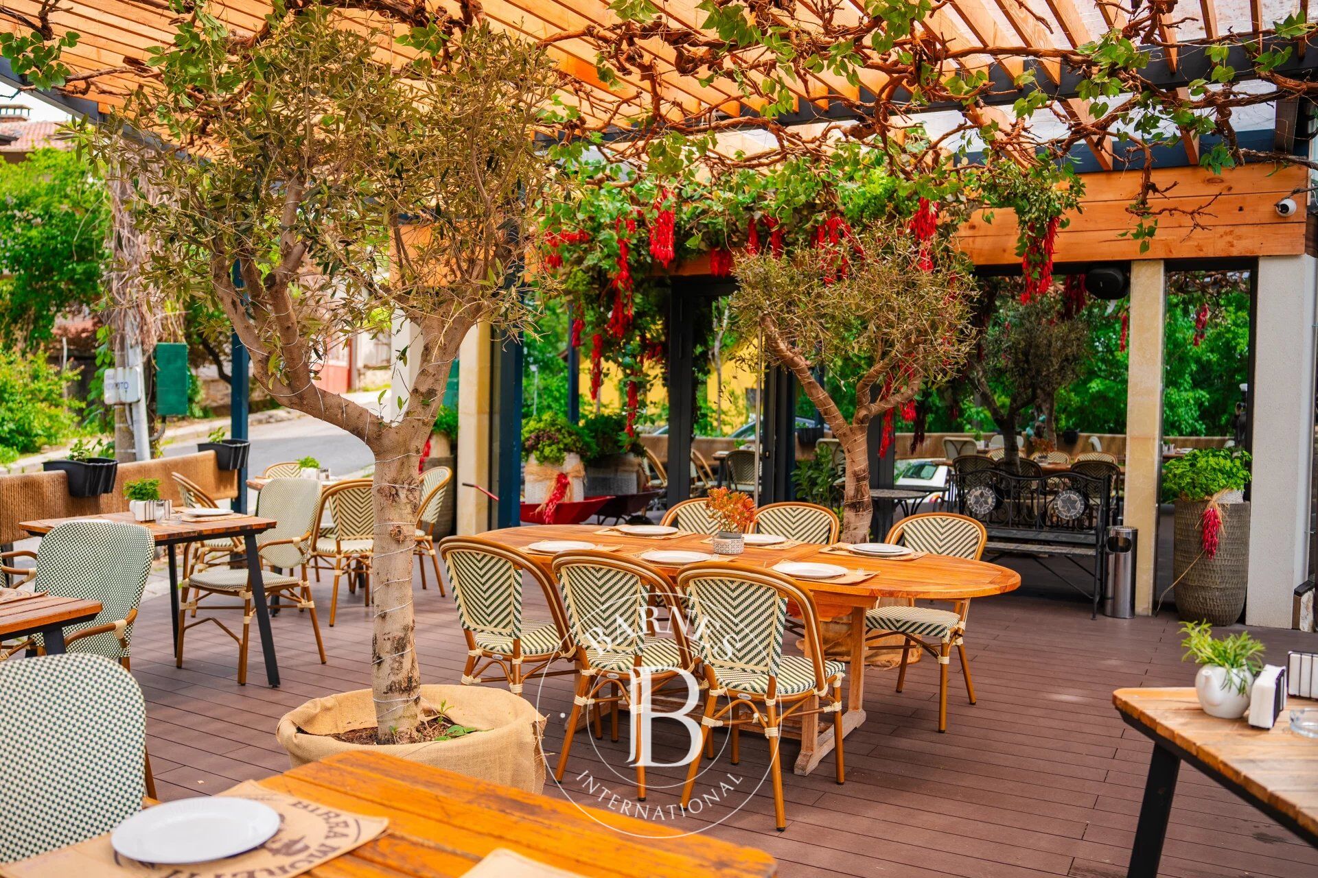 Authentic Italian restaurant in Boyana district - ready business - picture 2