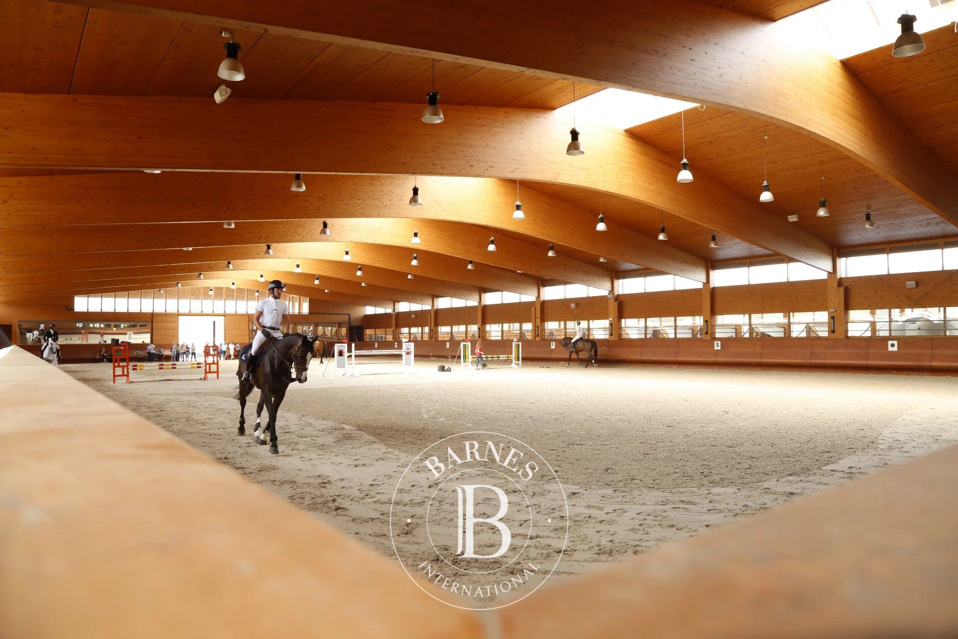 Prestigious equestrian estate in the heart of the Vosges - picture 1