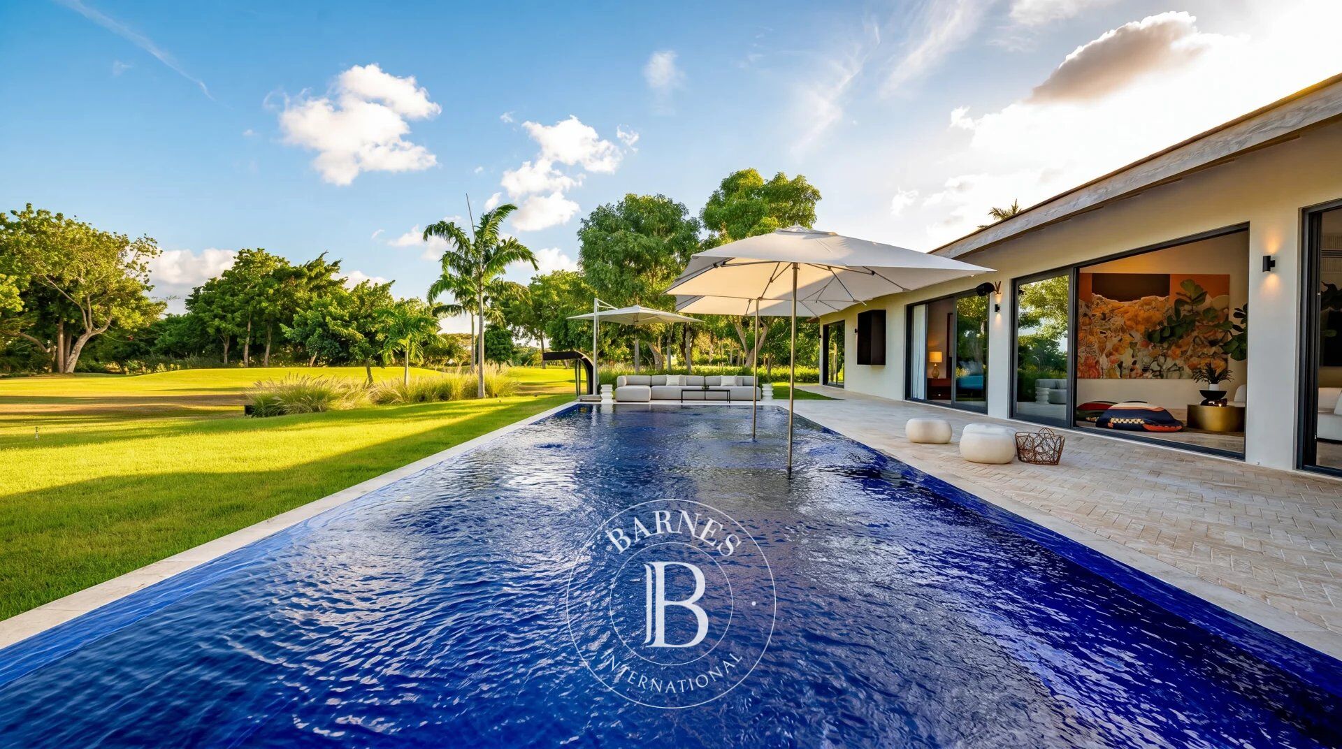 Villa La Romana - picture 1