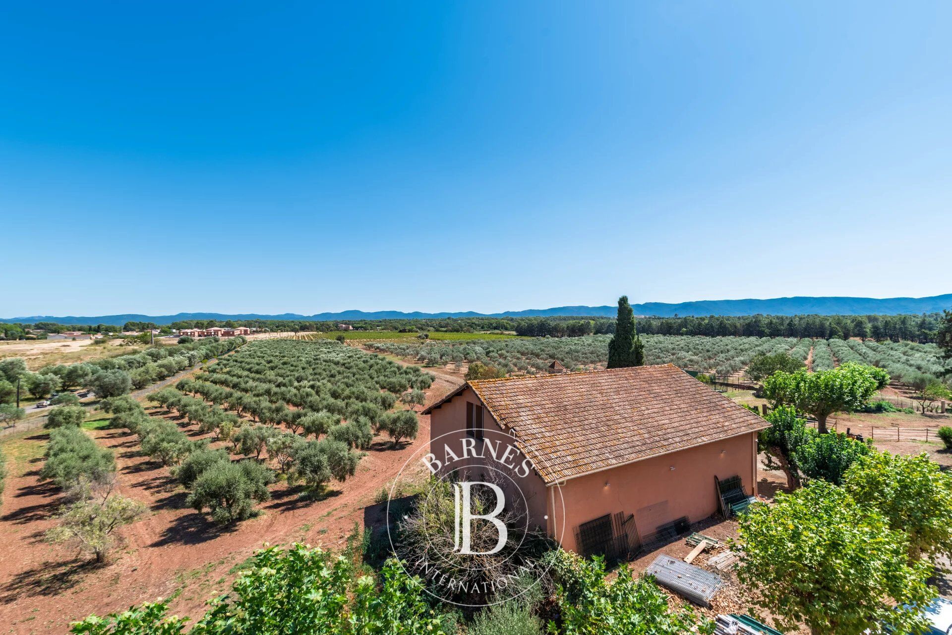 LE LUC – EXCEPTIONAL 10-HECTARE PROPERTY WITH OLIVE GROVE AND OUTSTANDING HOSPITALITY POTENTIAL - picture 2